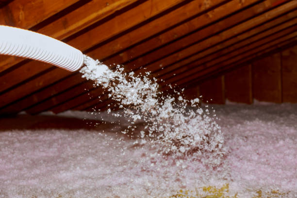 Best Attic Insulation Installation  in Wisr, NE