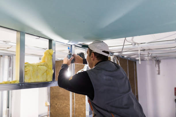 Best Insulation Contractor Near Me  in Wisr, NE