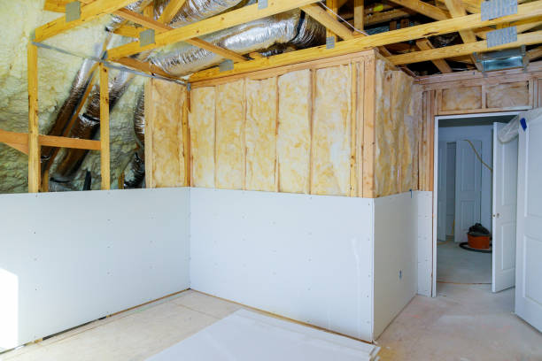 Best Professional Insulation Contractor  in Wisr, NE