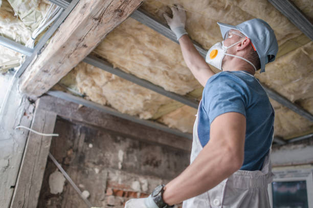 Best Fiberglass Insulation  in Wisr, NE