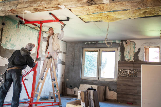 Best Blown-in Insulation  in Wisr, NE