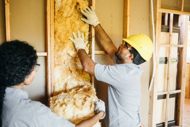 Best Insulation for New Construction  in Wisr, NE