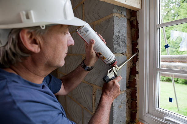 Best Insulation Inspection Services  in Wisr, NE