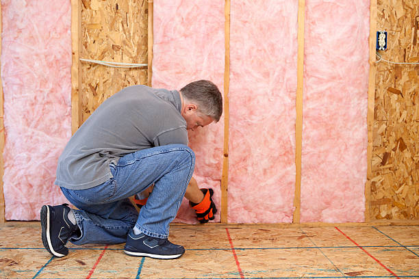 Best Local Insulation Services  in Wisr, NE
