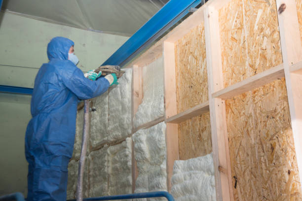 Best Home Insulation Services  in Wisr, NE