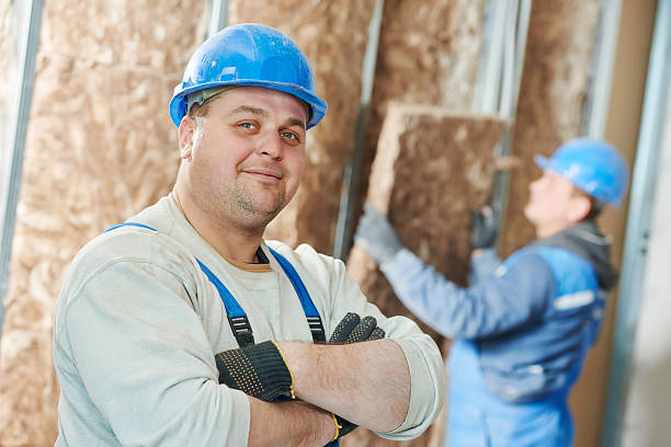 Best Affordable Insulation Services  in Wisr, NE