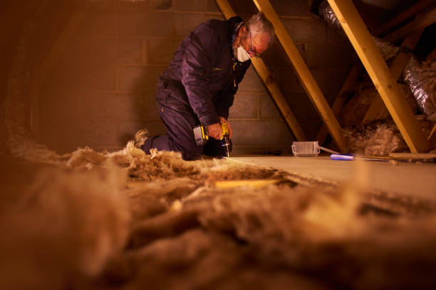 Best Commercial Insulation Contractor  in Wisr, NE