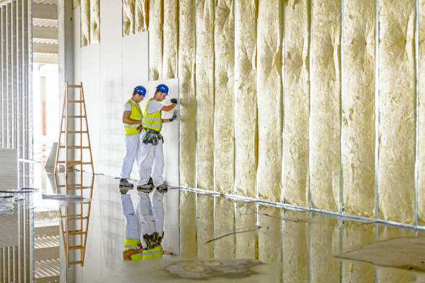 Best Wall Insulation Contractor  in Wisr, NE